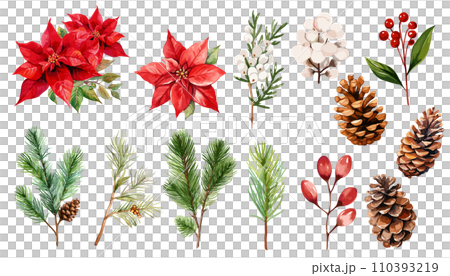 ポインセチアと松ぼっくりの冬の植物の水彩イラストセット 110393219