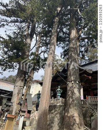 三峰神社 110393263
