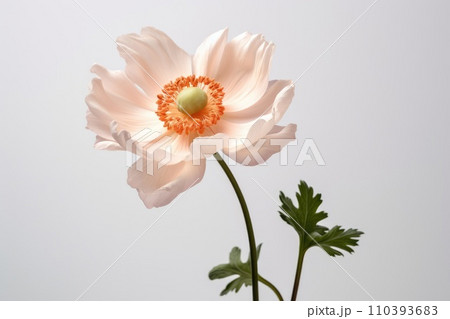 AI-generated content. Flower white plant floral nature petal green blooming spring flora 110393683