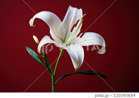 AI-generated content. Background flower lily nature plant green beauty 110393684