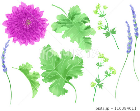 庭の花 110394011
