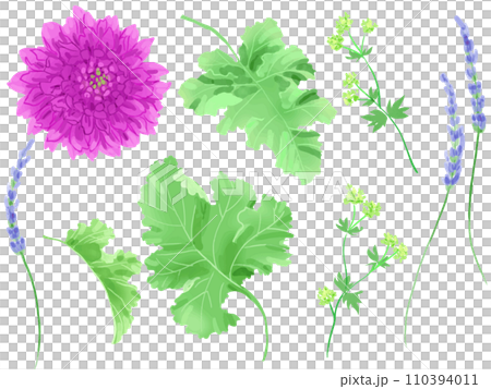 庭の花 110394011