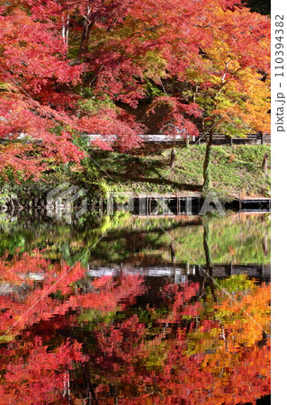 埼玉県入間郡毛呂山町宿谷 紅葉の名所である鎌北湖畔のもみじと湖面の水鏡 埼玉県入間郡毛呂山町宿谷 紅葉の名所である鎌北湖畔のもみじと湖面の水鏡 110394382
