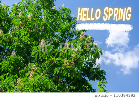 Spring banner. Hello, Spring. The beginning of the spring season. Blooming apple trees Spring banner. Hello, Spring. The beginning of the spring season. Blooming apple trees 110394592