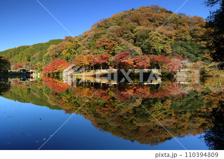 埼玉県入間郡毛呂山町宿谷　紅葉の名所である鎌北湖畔の紅葉と湖面の水鏡 110394809
