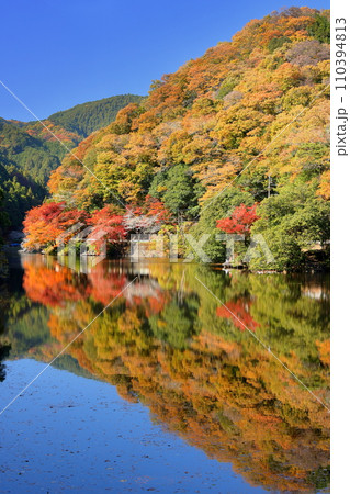 埼玉県入間郡毛呂山町宿谷　紅葉の名所である鎌北湖畔の紅葉と湖面の水鏡 110394813