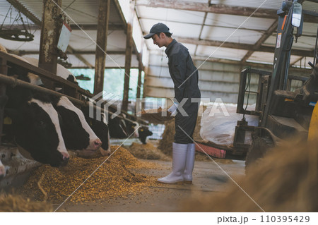 ranch ranch 110395429