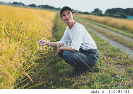 rice farming 110395431