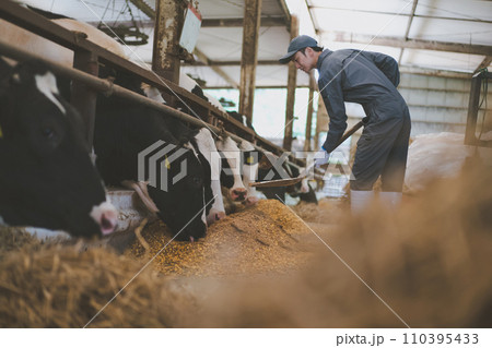 ranch ranch 110395433