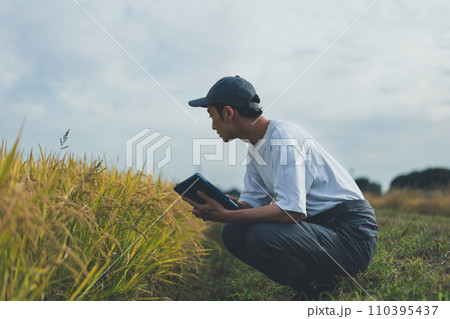 rice farming 110395437