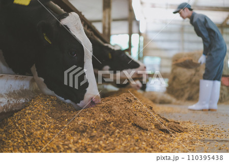 ranch 110395438