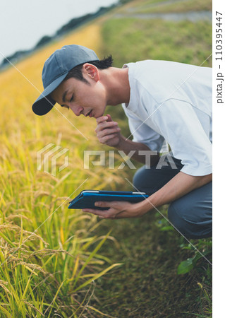 rice farming 110395447