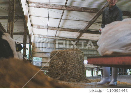 ranch 110395448