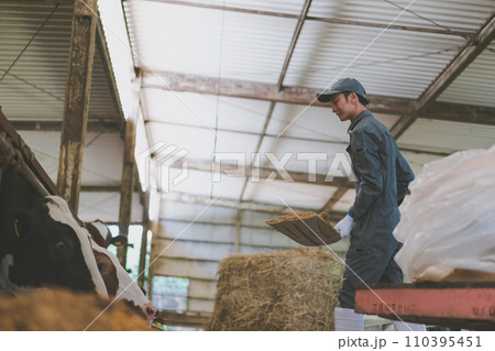 ranch ranch 110395451