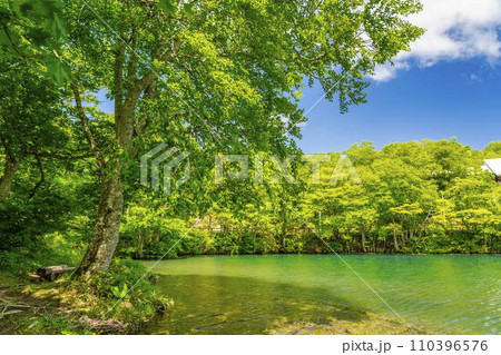 初夏のドッコ沼 新緑の風景 山形県山形市   初夏のドッコ沼 新緑の風景 山形県山形市   110396576