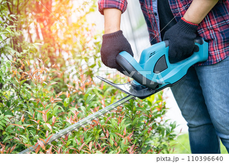 Woman taking care and growing plants, Hobby planting home garden, ornamental pruning. 110396640