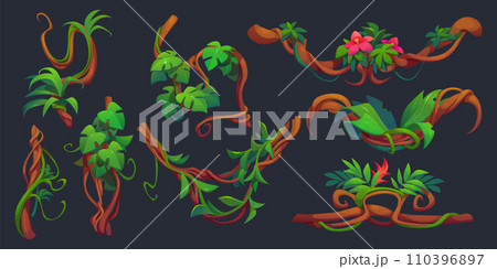 Twisted liana branch with green leaves and flowers Twisted liana branch with green leaves and flowers 110396897