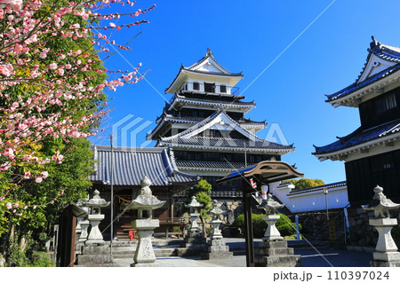 【大分県】晴天の中津城と紅梅 110397024