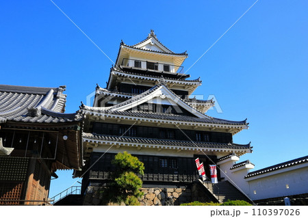 【大分県】晴天の中津城 110397026