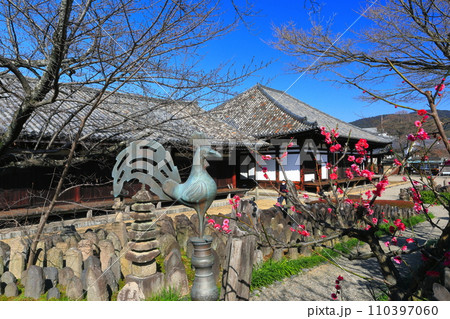 【奈良県】梅が咲く元興寺の極楽坊本堂と禅室 110397060