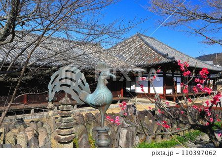 【奈良県】梅が咲く元興寺の極楽坊本堂と禅室 【奈良県】梅が咲く元興寺の極楽坊本堂と禅室 110397062