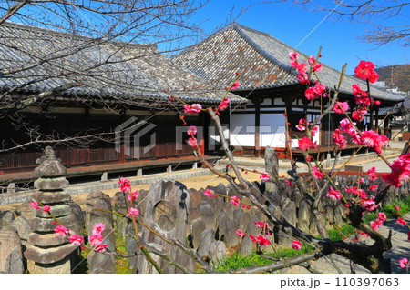 【奈良県】梅が咲く元興寺の極楽坊本堂と禅室 110397063