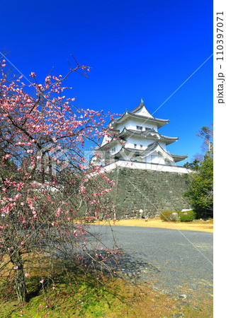 【三重県】満開の梅と伊賀上野城 110397071