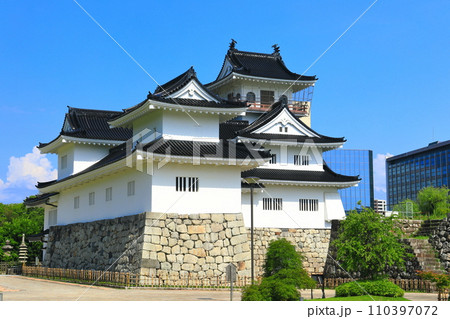 【富山県】快晴の富山城址公園 110397072