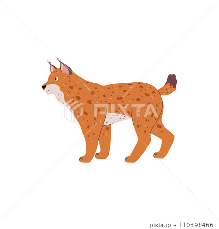 Lynx animal of Northern Eurasia and America, flat vector illustration isolated. Lynx animal of Northern Eurasia and America, flat vector illustration isolated. 110398466