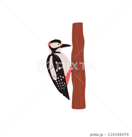 Woodpecker bird on tree trunk, cartoon taiga forest bird, vector wildlife nature, woodland animal isolated on white 110398470