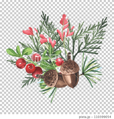 Watercolor hand drawn autumn card design with illustration of colorful leaves of summer thuja trees, cowberry, red berries, acorns, watercolor fir. Elements isolated on white background. 110399054