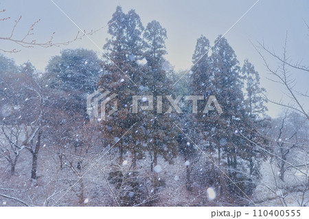 上田城跡公園　雪景色 110400555