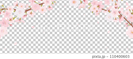 桜のフレーム素材 110400603
