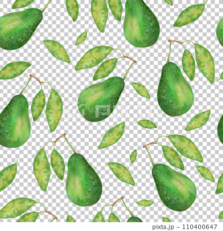 Fruit seamless pattern of avocado with leaves. Botanical texture for eco and healthy food for printing on fabric, paper. Watercolor and marker illustration.Hand drawn art. 110400647