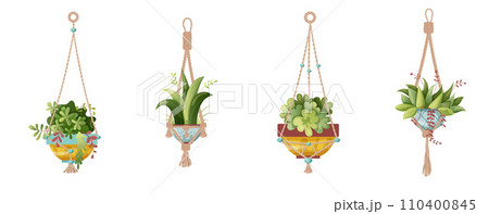 Houseplant and macrame plant growing in pots. Set of handmade home decorations macrame plants isolated on white background. Cartoon flat illustration. 110400845