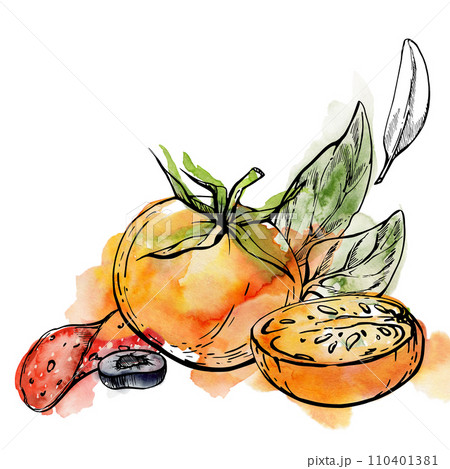 Hand drawn watercolor ink illustration. Tomato pepperoni olive basil herb leaves fresh products meal. Composition isolated on white. Design restaurant, menu, cafe, food shop or package, flyer, print. 110401381