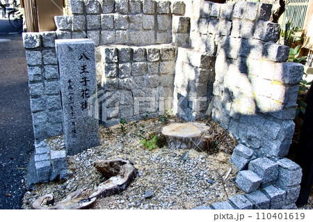 八王子花街 八王子花街 110401619