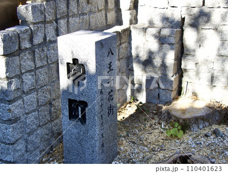 八王子花街 八王子花街 110401623