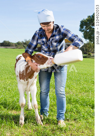 Female employee feeding newborn calf on grass pasture Female employee feeding newborn calf on grass pasture 110402053