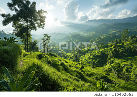 green tropical mountain landscape with terraced fields green tropical mountain landscape with terraced fields 110402063
