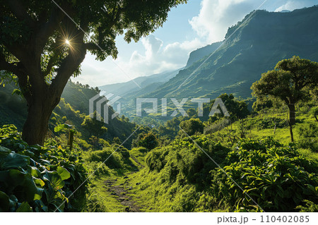 beautiful landscape of a high mountain valley with tropical vegetation and terraced fields in the background beautiful landscape of a high mountain valley with tropical vegetation and terraced fields in the background 110402085