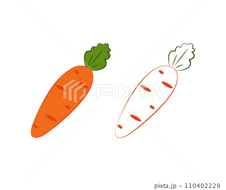 Carrot coloring book. Ripe orange carrots. A ripe vegetable garden. An image of a carrot for a children s coloring book. Vector illustration on a white background 110402229