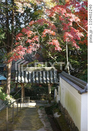 紅葉と功山寺通用門 紅葉と功山寺通用門 110402240