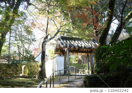 光を浴びる功山寺通用門 光を浴びる功山寺通用門 110402242