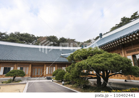 一般に公開された韓国の旧大統領官邸 110402441