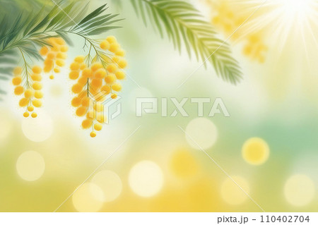 Spring mimosa flowers on blurred background, spring season concept. Spring mimosa flowers on blurred background, spring season concept. 110402704