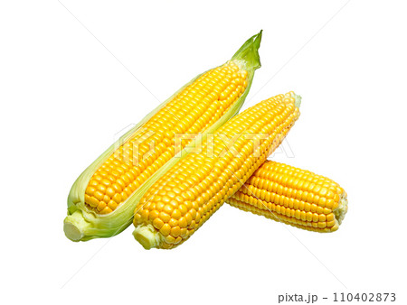 Corn on white 110402873