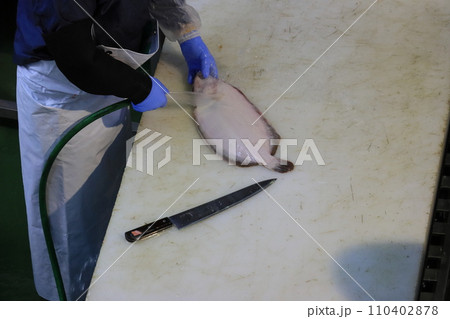 下拵えされる鮮魚　魚屋の仕事 110402878