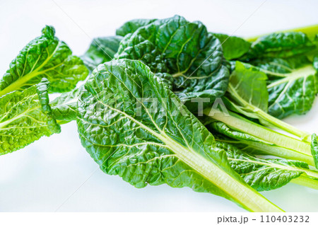 冬野菜 ちぢみ小松菜 冬野菜 ちぢみ小松菜 110403232