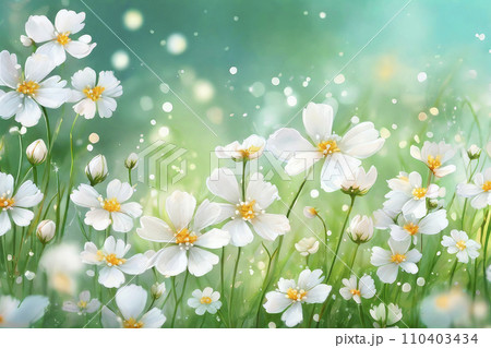 Cosmos flowers blooming in the garden with soft focus background. Cosmos flowers blooming in the garden with soft focus background. 110403434